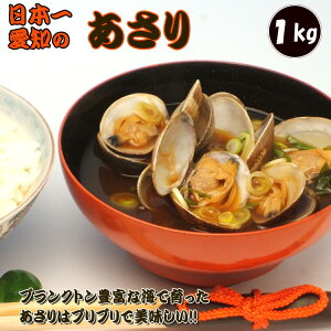  Y mY 1kg yz 蕨  lΉ  ߂ X`  ؕ pX^ L L L AT  V[t[h Mtg v[g  Hi  