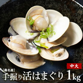 ハマグリ 国産 天然 中大サイズ 1kg 贈り物 包装・熨斗対応【送料無料】 桑名産 三重県桑名産 活け蛤 産地直送 活け はまぐり 活けハマグリ 生貝 活貝 活け貝 シーフード ギフト プレゼント 母の日 お中元 御歳暮ギフト 酒蒸し 魚介類 活蛤 国産 バーベキュー 桑名