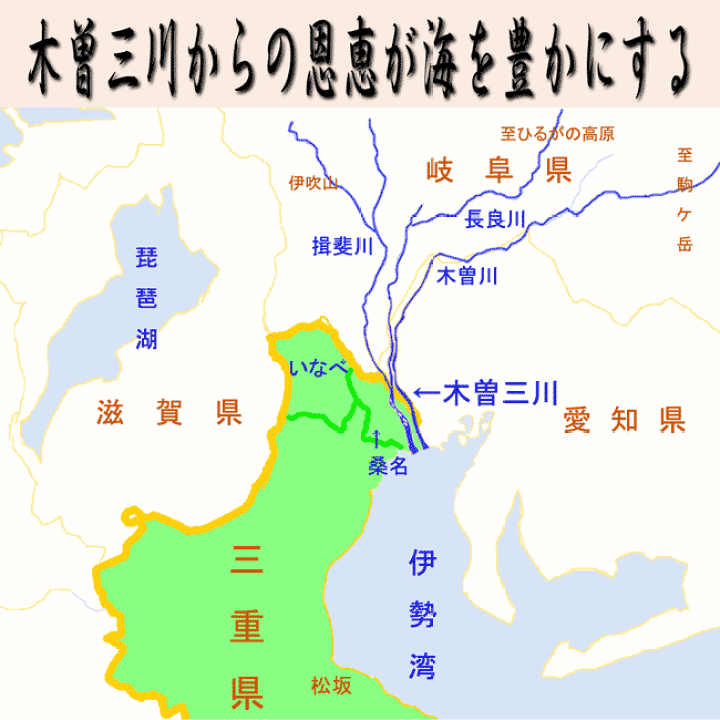 楽天市場】はまぐり 大〜特大の混合 550g【送料無料】 天然 国産活け蛤