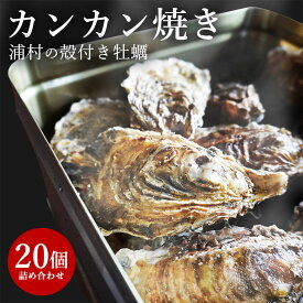 楽天市場 牡蠣 一斗缶の通販
