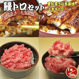 鰻トロセット 愛知産うなぎ蒲焼き 大1尾 と 上ネギトロ 200g のセット 【送料無料】 お歳暮ギフト 父の日 敬老の日 国産 お中元ギフト ランキング 肴 酒 贈答 プレゼント 魚 ビール おつまみ ねぎとろ丼 ネギトロ丼 ウナギ 刺身 鰻蒲焼き