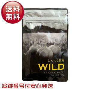 ɂɂWILD ₸ 310mg×62 J  ɂɂTv C  ɂɂ  ۂ y Vg AMj lQ 