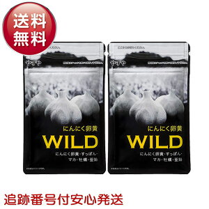 y 2܃Zbg zɂɂWILD ₸ 310mg×62 J  ɂɂTv C  ɂɂ  ۂ y Vg AMj lQ 