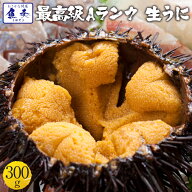 うに 雲丹 ウニ 冷凍生うに 保存料無添加 AA 300g 100g×3パック 送料無料 うに丼約6杯分のお試しサイズ…