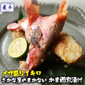 yGg[Ń|Cg10{zy󂠂z K Ђ 1kg CN ͂܂ ς T[ ^C u V}AW    蔲Q̊𗘗pґȃZbg [ т