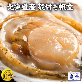 楽天市場 バーベキューセット ホタテ 貝類 魚介類 水産加工品 食品の通販 楽天市場 バーベキューセット ホタテ 貝類 魚介類 水産加工品 食品の通販