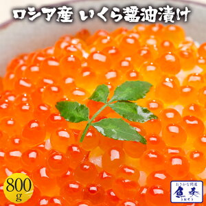 yGg[Ń|Cg10{z CN  ݖЂ 800g ňl VAY Ȗqł͂܂ { yӁzkCA͒ǉ997~ZA