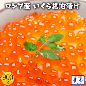 yGg[Ń|Cg10{z CN  ݖЂ 900g ňl VAY Ȗqł͂܂ { yӁzkCA͒ǉ997~ZA