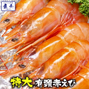 yGg[Ń|Cg10{zňl풆 Ԃ ԊCV ԃGr VR L TCY 10  o[xL[Zbg o[xL[ BBQ Zbg H Lv CNo[xL[