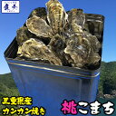 送料無料 伊勢神宮奉納 牡蠣 桃こまち ブランド牡蠣 伊勢湾産 サイズ無選別 訳あり メガ盛り 約3キロ(約30個) 旬期瞬…