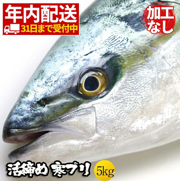 楽天市場 31日まで配送受付 加工無し まるごと １尾 約5ｋｇ ぶり ブリ 鰤 寒ブリ 鹿児島 大分産 お刺身用 嫁ぶり チルド ぶりしゃぶ ぶり照り おろし済み 注意 北海道 沖縄は追加送料を997円加算し ご請求いたします おさかな問屋 魚奏 楽天市場店