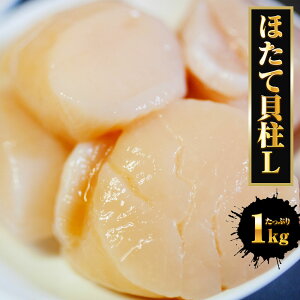 yGg[Ń|Cg10{zz^eL  1kg LTCY  z^e ق  L L Ȃ Ki Ⓚ 1000g  fJ 嗱  傫 hg o^[Ă o[xL[ B