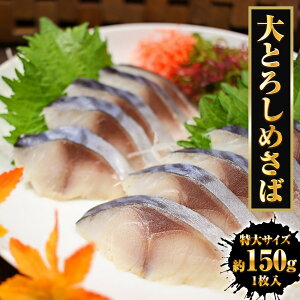 Ƃ낵߂ 1pbN 1^ TCY 150`200g ߂ Y I To g HTo H HI } }Y _ѐYb܎  Ε 2025 Mtg CN   