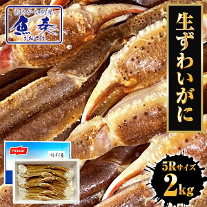 yŒZtzⓀ 킢ɃZNV 5R 2kg o_C TCY  Jj I jbXC  YCKj 킢I 킢 N Ε 2025 Mtg CN   Ε 