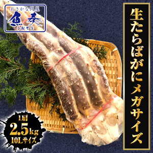 ΂ KTCY 10L 2.5kg ɑ ZNV 1   Jj I VN  ^o ^oKj ΂   Ε N CN Ⓚ kani r  Ε 2025 Mt