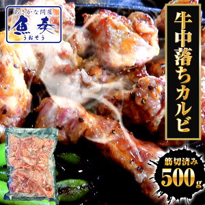 yGg[Ń|Cg10{zJr 500g   o Jr u r[t LVRY ē BBQ TCRXe[L  Mtg {[iX 
