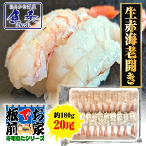 yGg[Ń|Cg10{zԂъJ 20 180g il^  Gr CV ԊCV 芪i A[`ԃGr ނg ypN  Mtg X^~i  Ɩp  |Cg