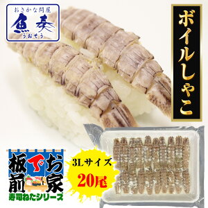 {CႱ 20 il^ Ⴑ VR u ]ˑO 芪i | K[W VR  ypN  Mtg X^~i  Ɩp  |Cgp i Tv 