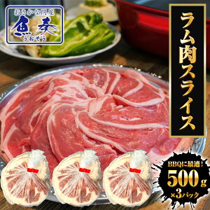  XCX 1.5kgi500g×3pbN jr WMXJ V_[[ qr  kCH BBQ r ypN  Mtg X^~i 