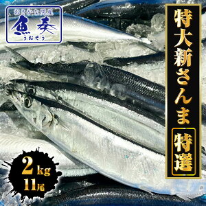 yGg[Ń|Cg10{z 吶 2kgi11j I  H\  T} H kC  O BBQ hV hV̓ Mtgi y̏iƓsAwsz