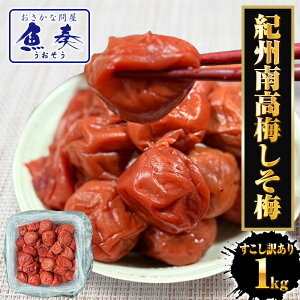 󂠂 IB썂~ ~ 1kg ~  E ~ p e 썂~ 10 LY Ԃ BBQ Mtgi v[g j  yӁzkCA͒ǉ997~Z