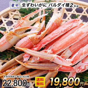 y|Cgő10{zy12/1 10܂ŁIzyŒZtzyJbgς݁z Ⓚ 킢ɃZNV 5R 2kg o_C TCY  Jj I jbXC  YCKj 킢I 