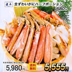 y12/16 10܂ŁIz킢 n[t|[V dʖ680gi580gj YC I  Jj ϔ  Ε 2025 Mtg Ε 