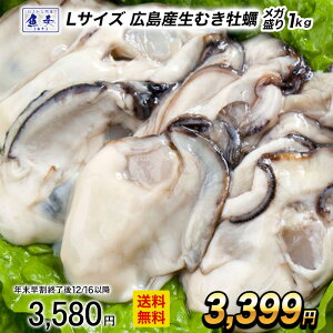 y12/16 10܂ŁIzyňlzy Ⓚ 嗱 1kg ނgi𓀌850g/40O LTCYj LY  y ނy JLtC  Ε 2025 Mtg Ε 