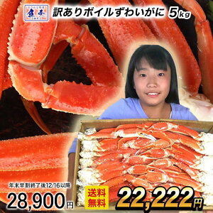 y12/16 10܂ŁIzyŒZtzyłȃN[|z󂠂 {CYCKj 5kg 󂠂  Jj I r 킢 {C  ɂ ɓ ɂ {