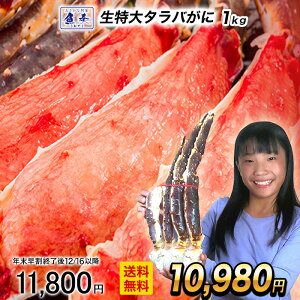 y12/16 10܂ŁIzyłȃN[|z  ^oI  1kg  ^oKj r 2?3lO  ^oI  Jj I Jj ^o ΂ g̗ǂ5L 