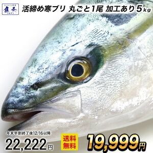 y12/16 10܂ŁIzyH ܂邲1 5kgzԂ u  u  啪Y hgp łԂ `h Ԃ肵 ԂƂ yӁzkC͒ǉ997~Z