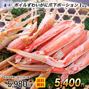 y12/16 10܂ŁIz {C킢ɒ܉|[V 1kgi45{Oj  Jj I ł 䥂 ނg g GA[uXg net80%  Ε 2025 Mtg Ε 