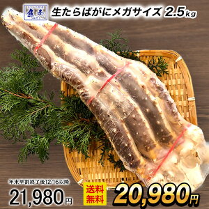 y12/16 10܂ŁIz ΂ KTCY 10L 2.5kg ɑ ZNV 1   Jj I VN  ^o ^oKj ΂   Ε N CN Ⓚ 