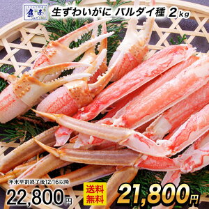 y12/16 10܂ŁIzyŒZtzyJbgς݁z Ⓚ 킢ɃZNV 5R 2kg o_C TCY  Jj I jbXC  YCKj 킢I 킢 N 