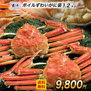 �y���؊C�N���W�z �󂠂�{�C�� ���킢���� �p ���� 2�� ��1.2kg ���� �J�j �I �Y���C�I �Y���C�K�j �p ���ɓ� �{�C���Y���C�K�j �Y���C ���킢�I �{�C���Y���C�@�{�C�� ���ɂ��� �J�j�� �I�� 