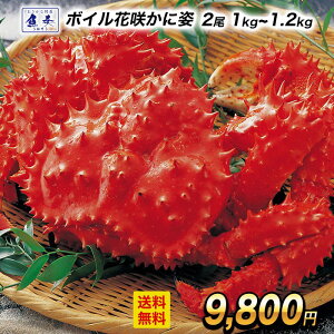 �y���؊C�N���W�z�{�C�� ���Y�ԍ炪�� �ԍ�K�j2��1kg�`1.2kg��T�C�Y �� �p�g �p �ԍ�I �ԍ�K�j �n�i�T�L�K�j ���� �J�j �I �C�N �ԍ� �n�i�T�L ���ɓ� ���ɂ��� �I�� �J�j�� �Z�b�g ����