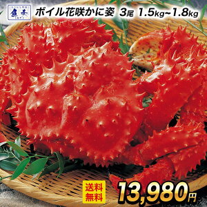 �y���؊C�N���W�z�{�C�� ���Y�ԍ炪�� �ԍ�K�j3��1.5kg�`1.8kg��T�C�Y �� �p�g �p �ԍ�I �ԍ�K�j �n�i�T�L�K�j ���� �J�j �I �C�N �ԍ� �n�i�T�L ���ɓ� ���ɂ��� �I�� �J�j�� �Z�b�g ����