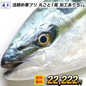 �y���؊C�N���W�z�y���H���� �܂邲��1�� ��5kg�z�Ԃ� �u�� �� ���u�� ������ �啪�Y ���h�g�p �łԂ� �`���h �Ԃ肵��� �Ԃ�Ƃ� �y���Ӂz�k�C������͒ǉ�������997�~���Z��������������