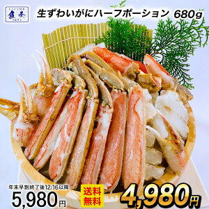 y12/1 10܂ŁIz킢 n[t|[V dʖ680gi580gj YC I  Jj ϔ  Ε 2025 Mtg CN   Ε 