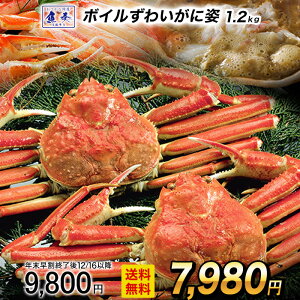 y12/1 10܂ŁIz 󂠂{C 킢 p  2 1.2kg  Jj I YCI YCKj p ɓ {CYCKj YC 킢I {CYC@{C ɂ Jj