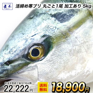 y12/1 10܂ŁIzyH ܂邲1 5kgzԂ u  u  啪Y hgp łԂ `h Ԃ肵 ԂƂ yӁzkC͒ǉ997~Z