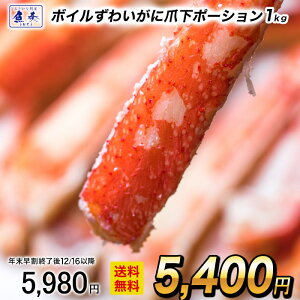 y12/1 10܂ŁIz {C킢ɒ܉|[V 1kgi45{Oj  Jj I ł 䥂 ނg g GA[uXg net80%  Ε 2025 Mtg CN   