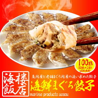 Z【半額クーポンで8,996円→4,498円】 究極のまぐろ餃子 100粒(50粒×2袋) まぐろ餃子 鮪 マグロ 鮪 餃子…