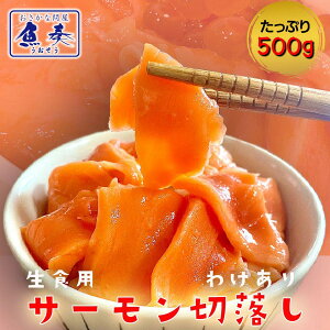 T[ ؂藎 500g 󂠂 gEgT[  [  T[ Ⓚ hg CN  Ղ K t[hX Ɩp Hi Ε 2025 Mtg CN   Ε 