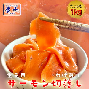 T[ ؂藎 1kg (500g×2) 󂠂 gEgT[  [  T[ Ⓚ hg CN  Ղ K t[hX Ɩp Hi Ε 2025 Mtg CN   Ε 
