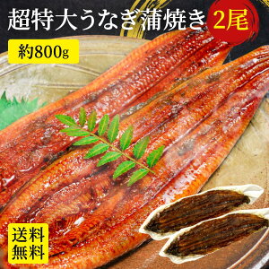 yGg[Ń|Cg10{zȂ 2 EiM V Ă   󂠂 yp̉N̓Ș  Y j unagi Zbg Hi Hו  ɂ lC 󂠂 KiO M