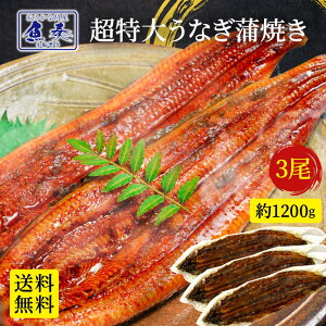 yGg[Ń|Cg10{zȂ 1.2kgi3j EiM V Ă   󂠂 Ș  Y j unagi Zbg y Hi Hו  ɂ lC KiO Mtg 