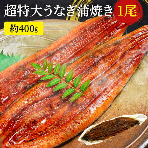 yGg[Ń|Cg10{zv[g Ȃ 󂠂yEgrbOTCYI380g?400gz傤Ȃ EiM V Ȃ yp N̓ Ȃ 󂠂 Y  yp̉N̓ 