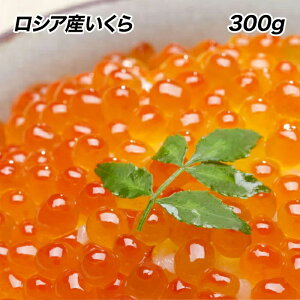 yGg[Ń|Cg10{z CN  ݖЂ 300g ňl VAY Ȗqł͂܂ { yӁzkCA͒ǉ997~ZA