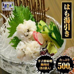 ͂ 500g  ͂ n  Ƃ ͂  ˓Y VR Y 傿   Y Y  { Ε 2025 Mtg CN   Ε 